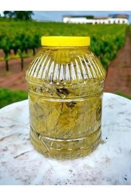 CNR Tarım Ürünleri Ilk Hasat 2024 Damarsız Salamura Asma Yaprağı 5 Kilogram( Alaşehir )