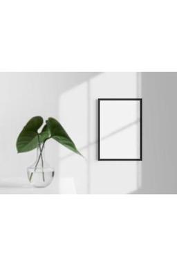 YED Frame 30x42cm - A3 - Resim & Poster & Fotoğraf Çerçevesi
