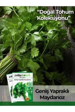 Patika Botanik 5000 Adet Geniş Yaprak Yerli Maydonoz Tohumu