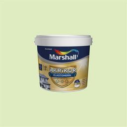 Marshall J0.14.85 2,5 Litre Akrikor Elastromerik Su Bazlı Dış Cephe Boyası (MARSHALL.5274121)