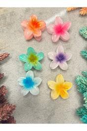 PREGIO Mini Boy Lotus Çiçeği Mandal Toka 6'lı Set Kaliteli Ve Canlı Renkli Lotus Toka