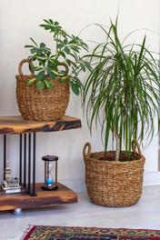 AVANTAGE HOME Marlen -  Dekoratif Doğal El Örmesi Kulplu Hasır 2 li Saksı Sepet Seti