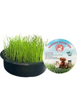 Sonrisa Pets Kedi Çimi (Kapsız) 100 gr Tohum + 200 gr Toprak ( 3 adet ve üzeri siparişlerde 1 adet kap ve file hediye )