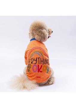 Pawstar Turuncu Everything Kedi Köpek Sweati