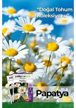 Patika Botanik 100 Adet Tıbbi Aromatik Papatya Tohumu