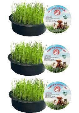 Sonrisa Pets Organik Kedi Çimi 3'lü ( FİLELİ) SÜRPRİZ OYUNCAK HEDİYELİ