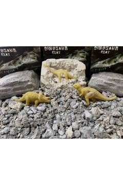 4 Ad Etkinlik Bilimsel Proje Seti .. Sürpriz Dinazor Türleri Serisi. Arkeolojik Bilim Kazı Seti.