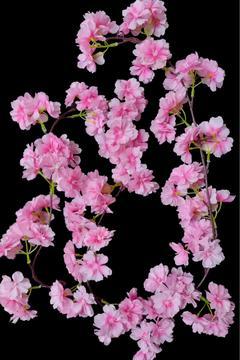 Yapay lüx Sarmaşık Sarkan Kiraz çiçeği Papatya Akasya Sümbül Ortanca Begonvil Gül dekoratif agac ev