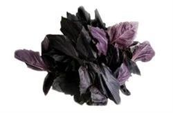 Organik Reyhan (demet) Ersöz Bahçesi - Afyon