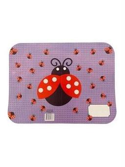 Karne Kılıfı Uğur Böceği İlköğretim