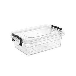 Violet 300 Cc Family Saklama Kabı 0457