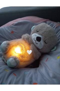 Uyku Arkadaşım Su Samuru