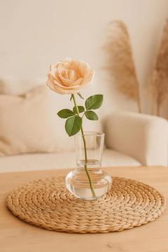 Borosilikat Cam Vazo, Mumluk, Soğuk Kahve Bardağı - Mantar 500ml