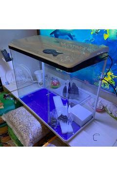 75litre Ithal Işıklı Filtre Motorlu Akvaryum Beyaz