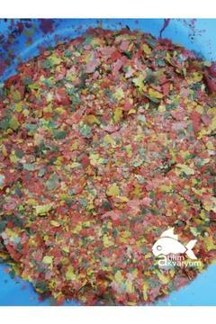 Lepistes, Kılıç Kuyruk, Molly, Tropikal Ve Canlı Doğuran Balık Yemi Karışık