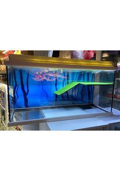 Su Kaplumbağası Akvaryumu Işıklı, Su Isıtıcı Ve Iç Filtre Motorlu Büyük Boy (100X40X50)