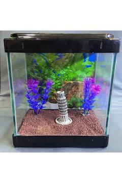 Japon Balığı, Beta Balığı Için Mini Akvaryum 4lt. (KARIŞIK) (AKSESUAR SETİ HEDİYELİ)
