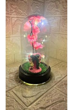 Sevgili Çift Teraryum Fanus Hediyelik Sevgililer Günü Hediye Doğum Günü Hediyelik