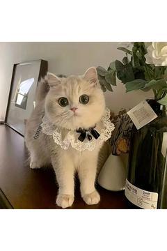 1 adet Sevimli Kedi Köpek Kravatı Yakalık Evcil Hayvan Aksesuarı Kedi Yaka Önlüğü