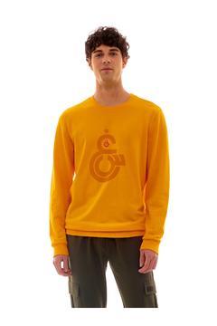 Erkek Sweatshirt E222157