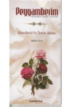 Peygamberim S.a.s. Efendimiz'in Örnek Ahlakı