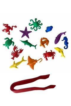 Education Deniz Canlilari Counters + Aktarma Cımbızı