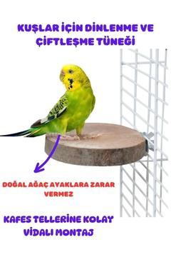 Kuşlar İçin Çiftleşme Ve Dinlenme Tüneği Yuvarlak Vidalı Doğal Ahşap 1 Adet 8-10 Cm Çap