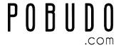 Pobudo