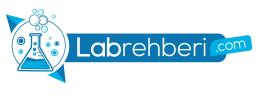 Lab Rehberi