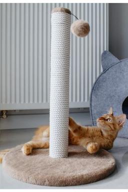 LoyaPet 52 Cm Kedi Tırmalama Tahtası, Yuvarlak Taban