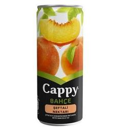 CAPPY ŞEFTALİ 250 ML