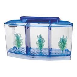 Betta Kit Mini Akvaryum 3 Bölmeli Mavi