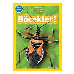Böcekler