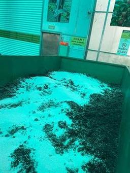 Tarımsal Perlit P14 (iri taneli)