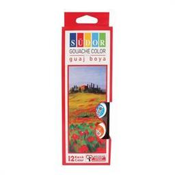 Südor Şişeli Guaj Boya 12 Renk 20 ml (SD525)